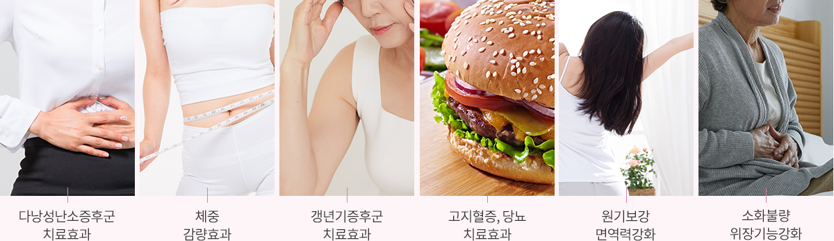 다낭성난소증후군 치료효과, 체중 감량효과, 갱년기증후군 치료효과, 고지혈증, 당뇨 치료효과, 원기보강 면역력강화, 소화불량 위장기능강화