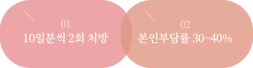 01 - 1년에 1번, 02 - 10일분 20첩