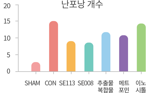 난포낭 개수 감소 · 난소 내 난포 성숙 정상화