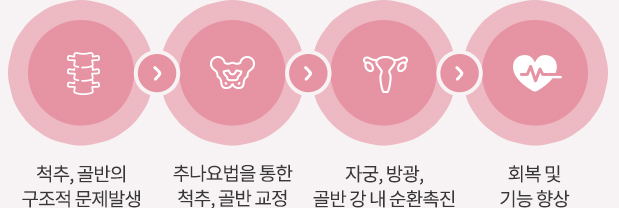 척추, 골반의 구조적문제발생 > 추나요법을 통한 척ㄷ추, 골반 교정 > 자궁, 방광, 골반 강 내의 순환 촉진 > 회복 및 기능 향상